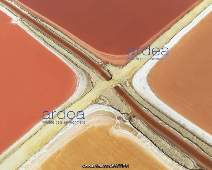 : Saline ponds at the Bonanza salt works near Sanlúcar de Barrameda : Saline ponds at the Bonanza salt works near Sanlúcar de Barrameda