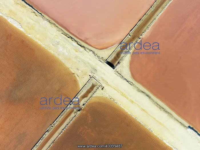 : Saline ponds at the Bonanza salt works near Sanlcar : Saline ponds at the Bonanza salt works near Sanlcar