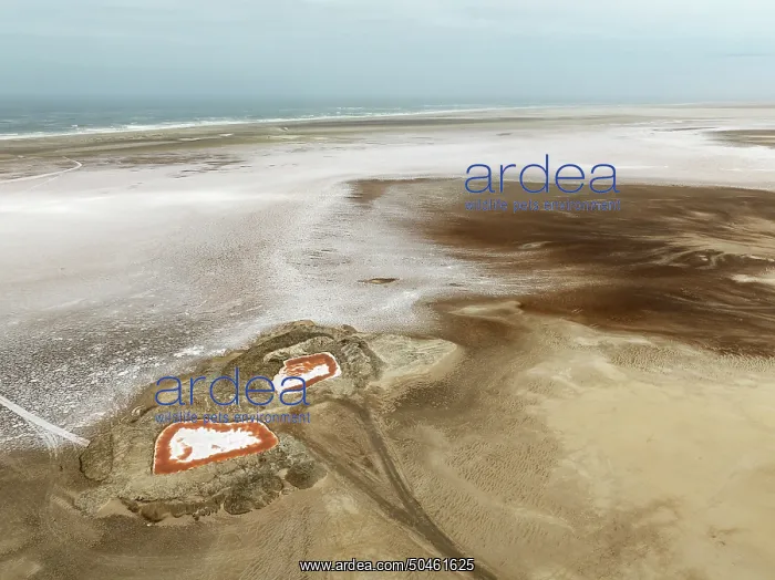 : Saline ponds with ruddy algae growth and white salt deposits at the Atlantic Coast : Saline ponds with ruddy algae growth and white salt deposits at the Atlantic Coast