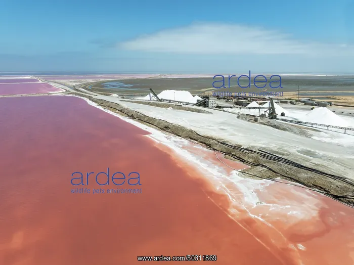 : Saline ponds and salt heaps at the salt works of Walvis Bay Salt : Saline ponds and salt heaps at the salt works of Walvis Bay Salt