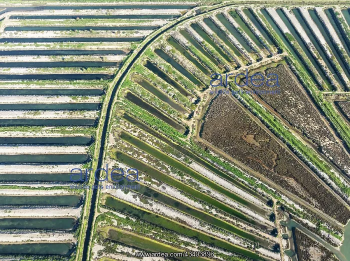 : Saline ponds at the salt works of Isla Cristina : Saline ponds at the salt works of Isla Cristina