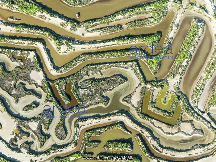 : Saline ponds at the salt works of Isla Cristina : Saline ponds at the salt works of Isla Cristina