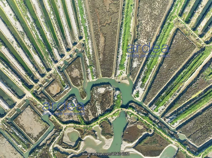 : Saline ponds at the salt works of Isla Cristina : Saline ponds at the salt works of Isla Cristina