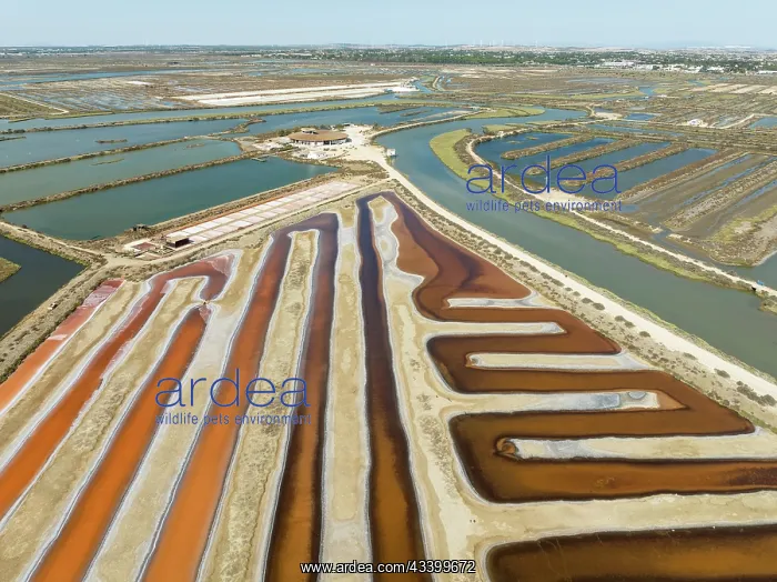 : Saline ponds at the salt works near Chiclana de : Saline ponds at the salt works near Chiclana de