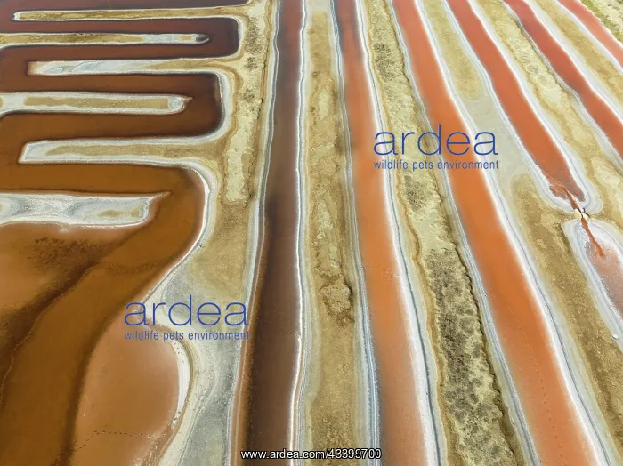 : Saline ponds at the salt works near Chiclana de : Saline ponds at the salt works near Chiclana de