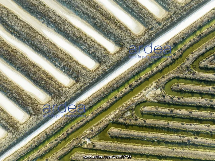 : Saline ponds at the salt works near Chiclana de : Saline ponds at the salt works near Chiclana de