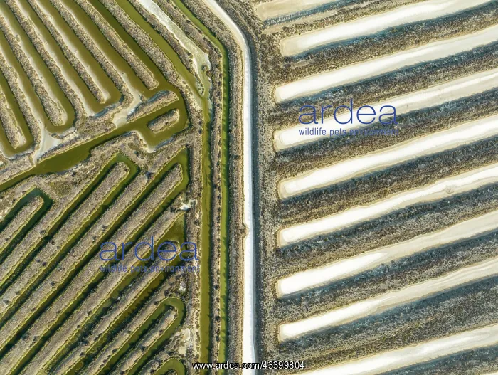 : Saline ponds at the salt works near Chiclana de : Saline ponds at the salt works near Chiclana de