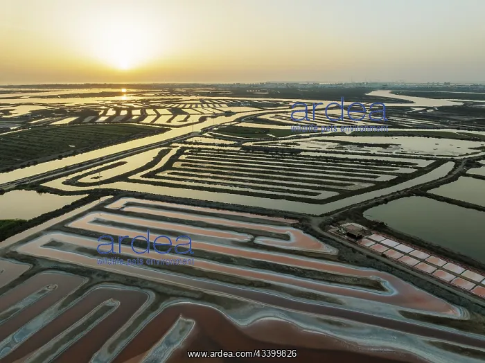 : Saline ponds at the salt works near Chiclana de : Saline ponds at the salt works near Chiclana de