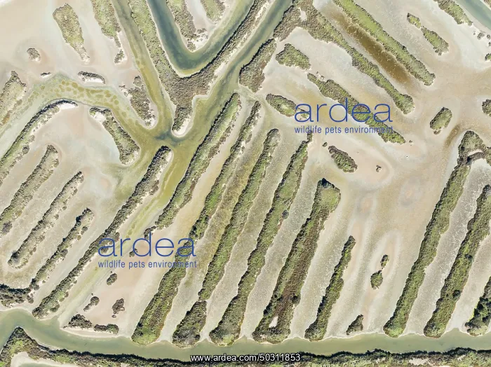 : Saline ponds at the salt works near Chiclana de la Frontera : Saline ponds at the salt works near Chiclana de la Frontera