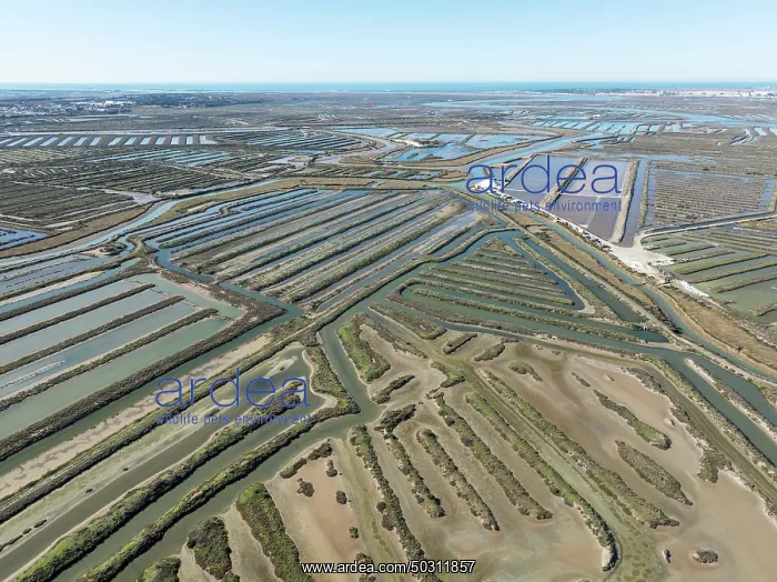 : Saline ponds at the salt works near Chiclana de la Frontera : Saline ponds at the salt works near Chiclana de la Frontera