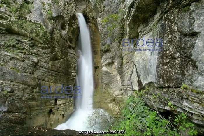 : Salinello gorge - Salinello river flowing through : Salinello gorge - Salinello river flowing through