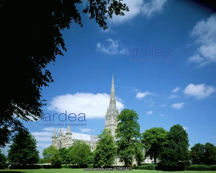 : Salisbury Cathedral - with 404 foot spire (the : Salisbury Cathedral - with 404 foot spire (the