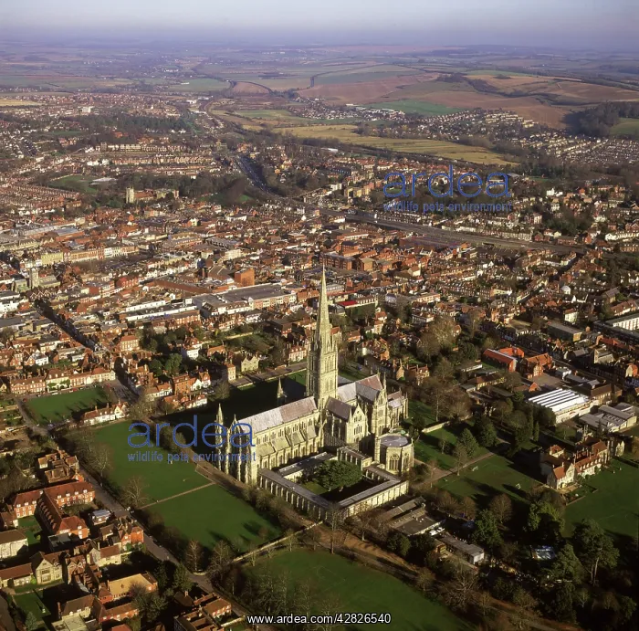 : Salisbury Cathedral and city, Wiltshire : Salisbury Cathedral and city, Wiltshire