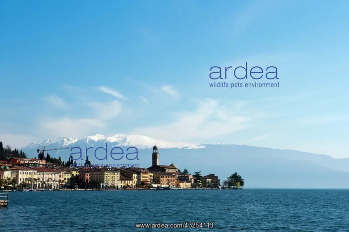 : Salo, Lago di Garda, Lombardia, Italy : Salo, Lago di Garda, Lombardia, Italy