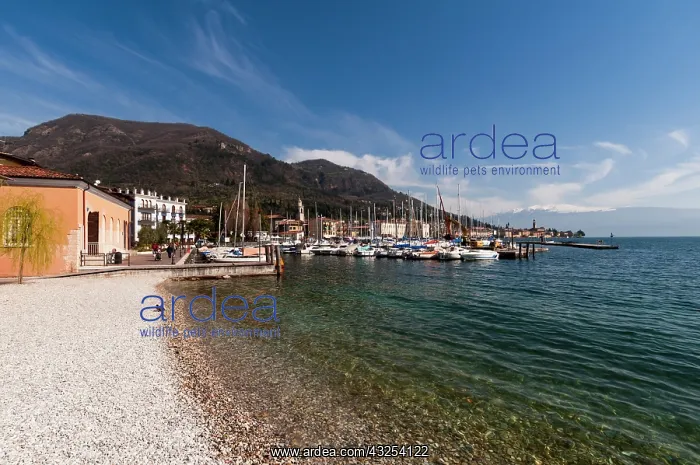 : Salo, Lago di Garda, Lombardia, Italy : Salo, Lago di Garda, Lombardia, Italy