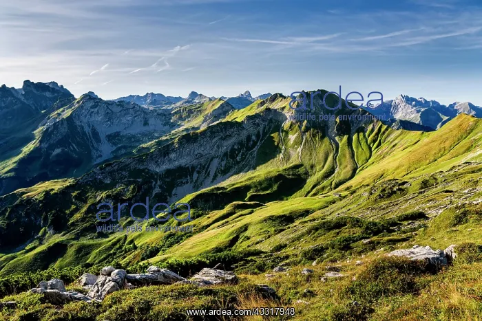 : Salober, Schochen, Little Sea Head, Koblat, Allg&, x4d60;High : Salober, Schochen, Little Sea Head, Koblat, Allg&, x4d60;High