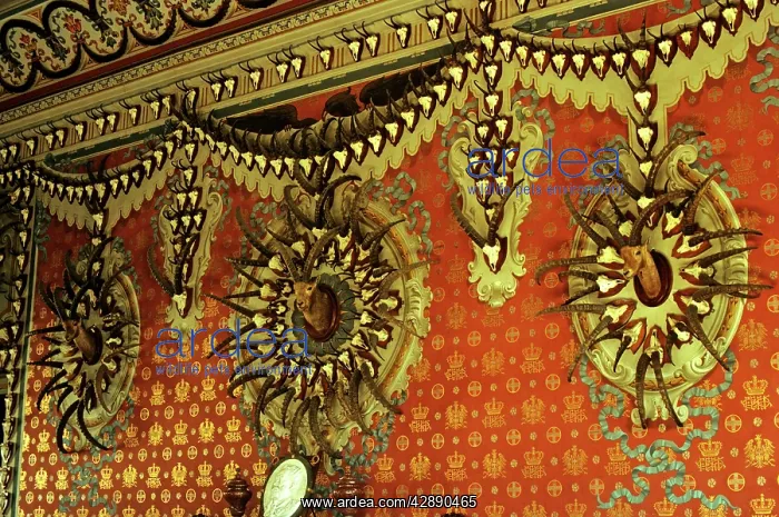 : Salon of Ibex trophies of King Victor Emmanuel : Salon of Ibex trophies of King Victor Emmanuel