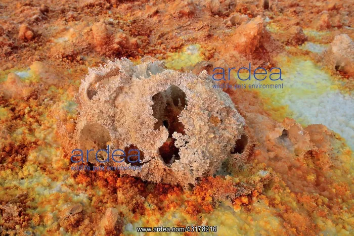 : Salt concretions coloured by sulphur, potassium : Salt concretions coloured by sulphur, potassium