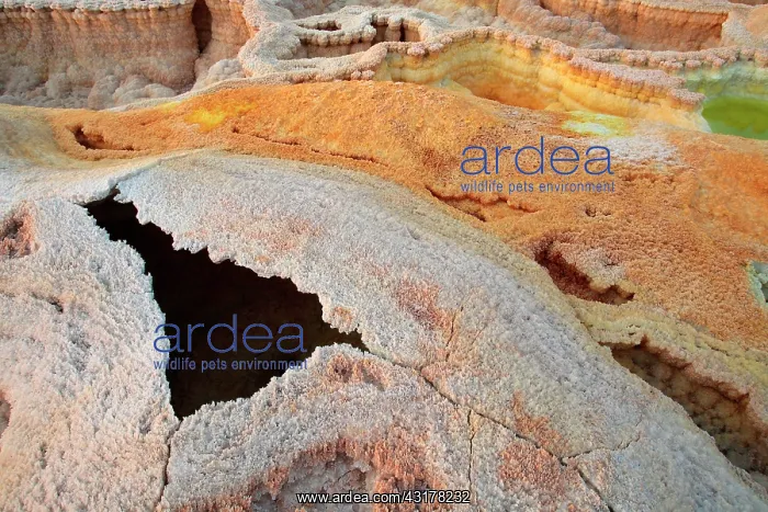 : Salt concretions coloured by sulphur, potassium : Salt concretions coloured by sulphur, potassium
