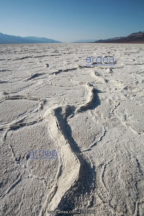 : Salt crusts at the Badwater Basin salt flats in : Salt crusts at the Badwater Basin salt flats in
