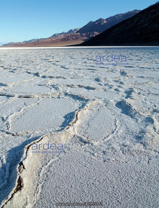 : Salt crusts at the Badwater Basin salt flats in : Salt crusts at the Badwater Basin salt flats in