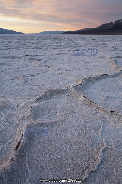 : Salt crusts at dusk at the Badwater Basin salt : Salt crusts at dusk at the Badwater Basin salt