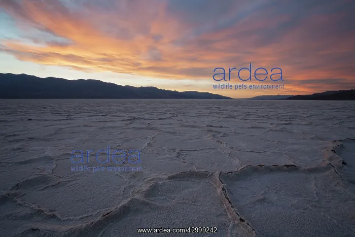 : Salt crusts at dusk at the Badwater Basin salt : Salt crusts at dusk at the Badwater Basin salt