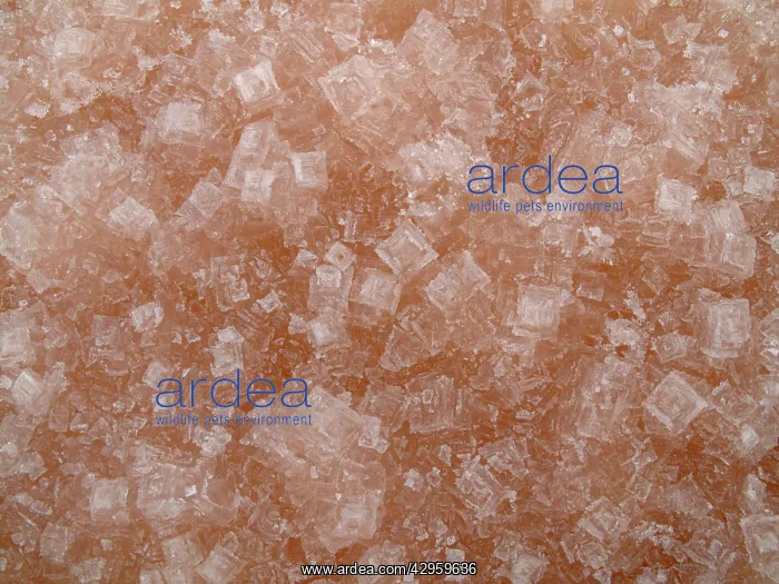 : Salt Crystals - at the salt works of Sabkhat Tazra : Salt Crystals - at the salt works of Sabkhat Tazra