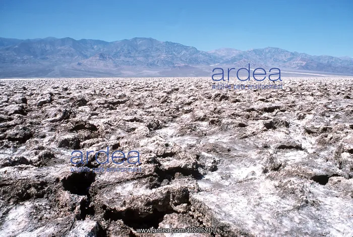 : Salt Deposits : Salt Deposits