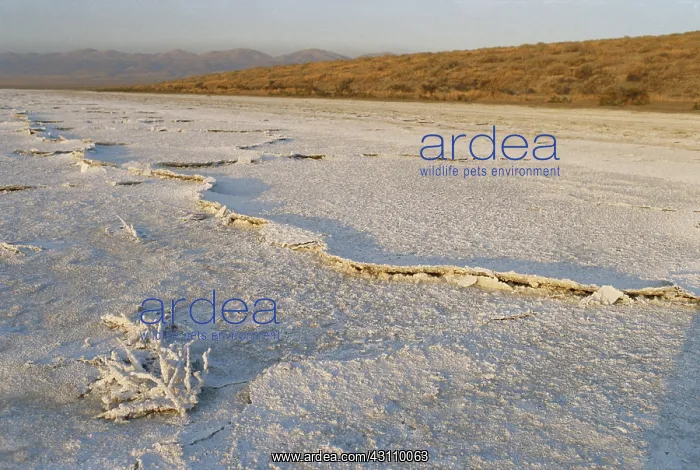 : Salt Deposits in California : Salt Deposits in California