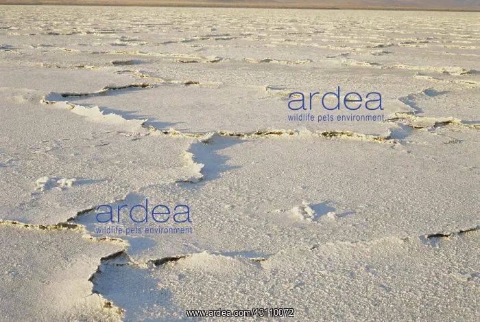 : Salt Deposits in California : Salt Deposits in California