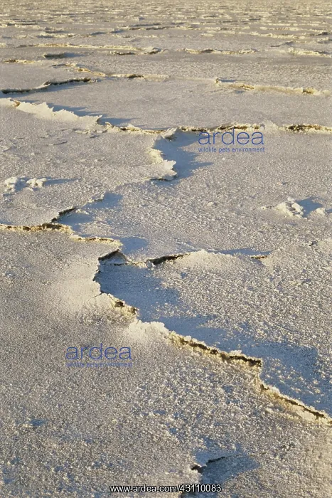 : Salt Deposits in California : Salt Deposits in California