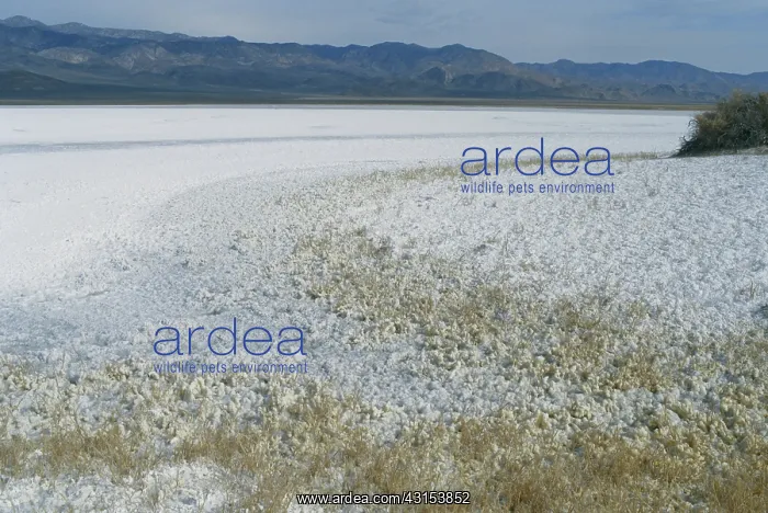 : Salt Deposits in California : Salt Deposits in California
