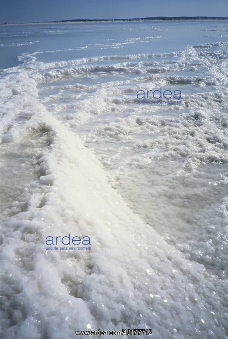 : Salt Deposits in Mexico : Salt Deposits in Mexico