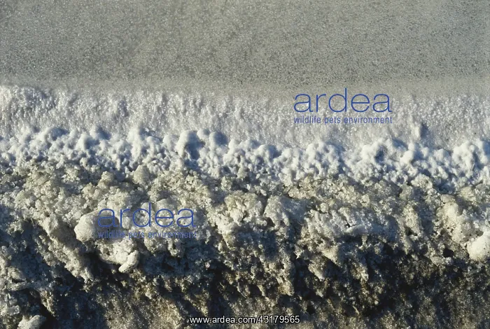: Salt Deposits in New Zealand : Salt Deposits in New Zealand