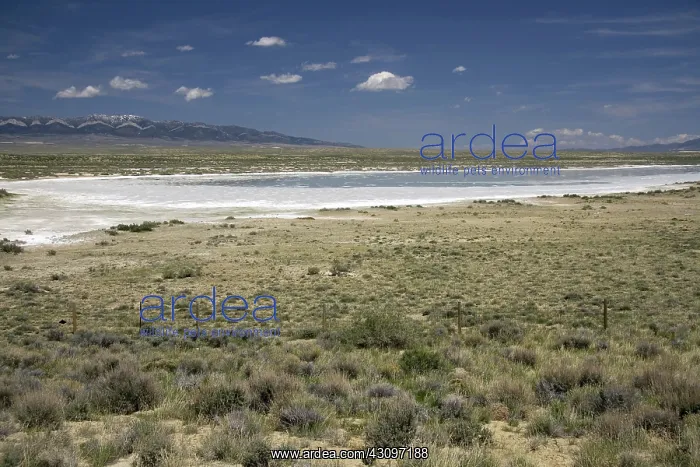 : Salt Evaporation Pond, Wyoming : Salt Evaporation Pond, Wyoming
