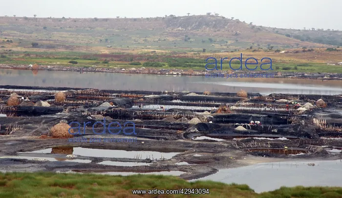 : Salt evapouration works in volcano crater : Salt evapouration works in volcano crater