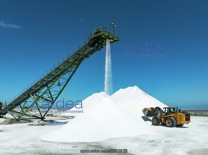 : Salt heaps with conveyor belt and excavator at the Walvis Bay Salt works : Salt heaps with conveyor belt and excavator at the Walvis Bay Salt works