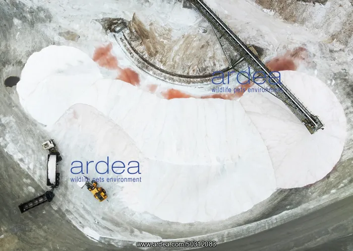 : Salt heaps with conveyor belt, lorry and excavator at the salt works of Walvis Bay Salt : Salt heaps with conveyor belt, lorry and excavator at the salt works of Walvis Bay Salt