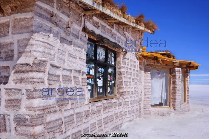 : Salt Hotel - a house built solely of salt blocks : Salt Hotel - a house built solely of salt blocks