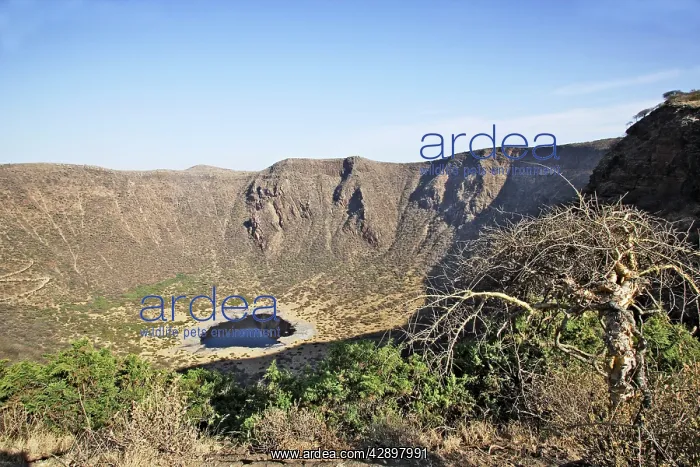 : Salt Lake crater : Salt Lake crater