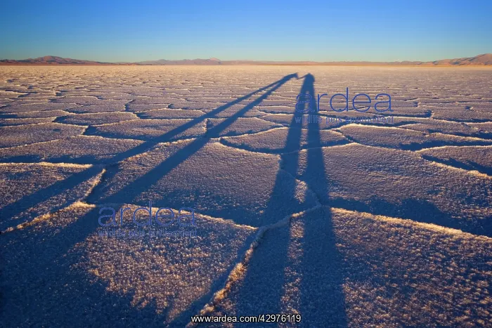 : Salt Lake - shadow of a couple holding hands on : Salt Lake - shadow of a couple holding hands on