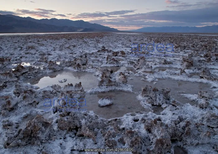 : Salt Lake - at sunset, unusually full of water : Salt Lake - at sunset, unusually full of water