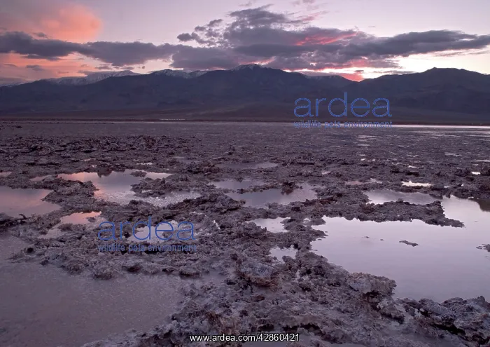 : Salt Lake - at sunset, unusually full of water : Salt Lake - at sunset, unusually full of water