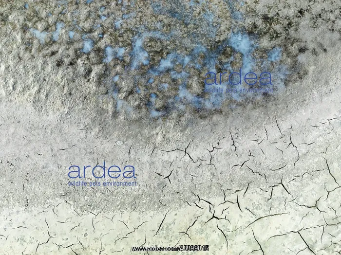 : Detail of salt marshes near Sanlcar de Barrameda : Detail of salt marshes near Sanlcar de Barrameda