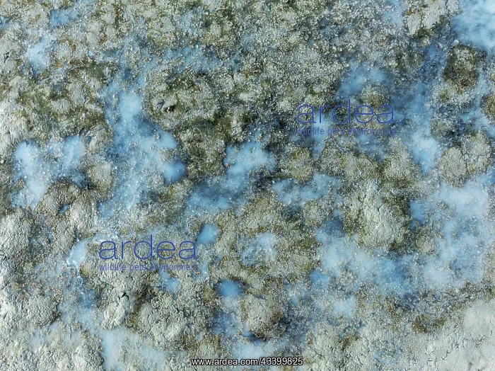 : Detail of salt marshes near Sanlcar de Barrameda : Detail of salt marshes near Sanlcar de Barrameda