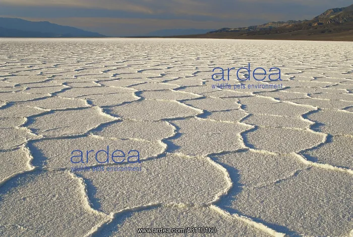 : Salt Pan in Death Valley : Salt Pan in Death Valley
