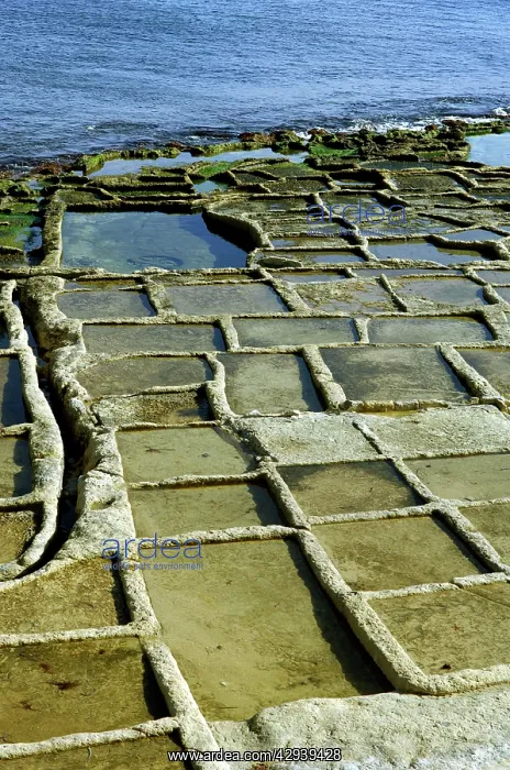 : Salt pans at Marsaskala, Malta look like shallow : Salt pans at Marsaskala, Malta look like shallow