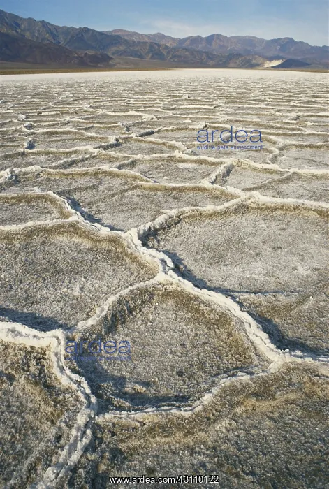 : Salt Polygons in Death Valley : Salt Polygons in Death Valley