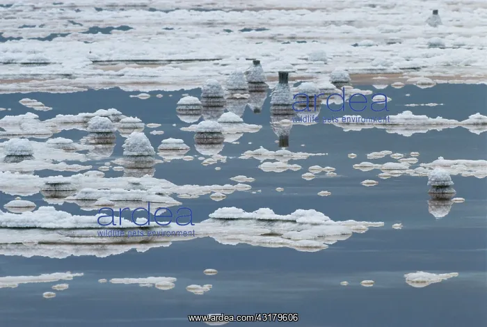 : Salt Ponds in California : Salt Ponds in California